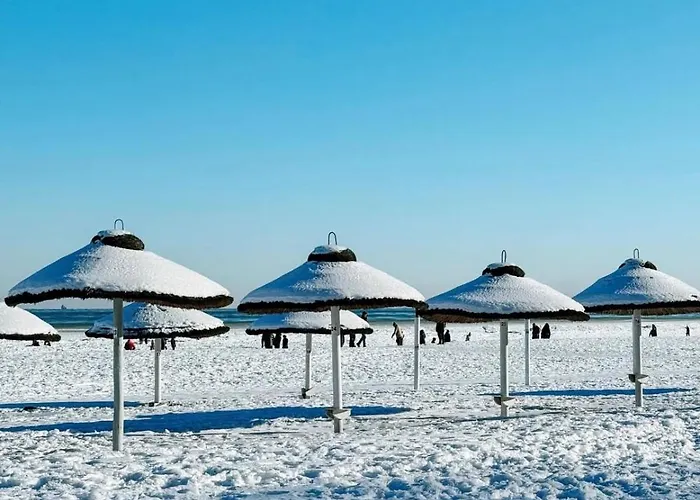 Baltic Beachside Zoppot